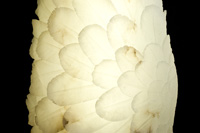 Wing Lamp - alab'Arte - alabaster in Volterra