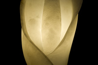 Flower Lamp- alab'Arte - alabaster in Volterra